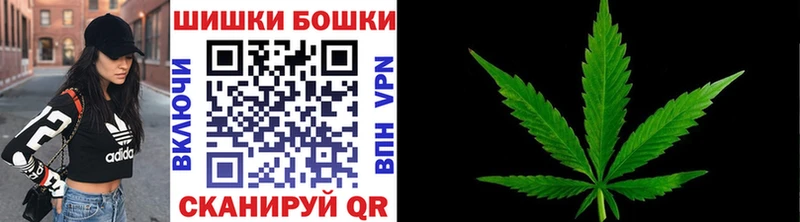 Бошки Шишки семена  Лебедянь 
